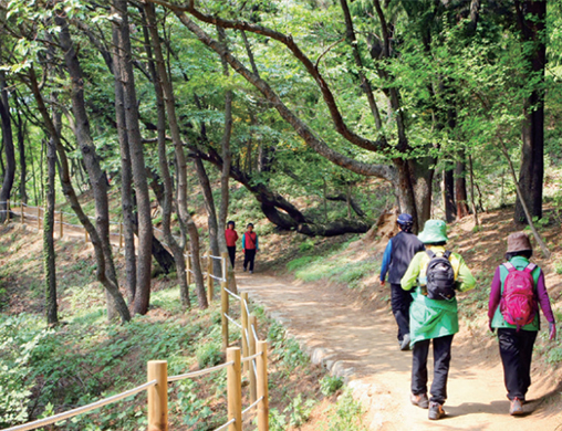 산책로 1구간 쌈지공원-거복바위-백양산-암석체험장-만남의광장, 2산책로 2구간 만남의 광장 - 등산로 - 만덕고개 - 석불사, 산책로3구간 석불사 - 금정산 상계봉 - 금정산 - 화명수목원, 산책로 4구간 화명수목원 - 금곡동 농협하나로 클럽 뒤 - 인재개발원