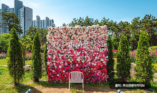 화명장미원 이미지