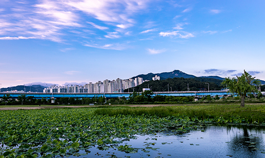 Hwamyeong Eco Park