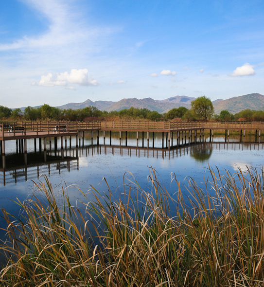 Hwamyeong Eco Park