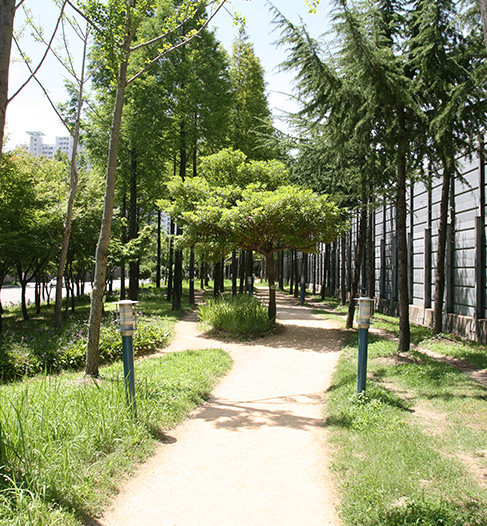 Railway Forest Trail