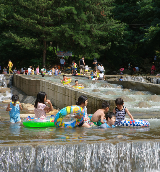 Daecheoncheon Stream Walking Trail