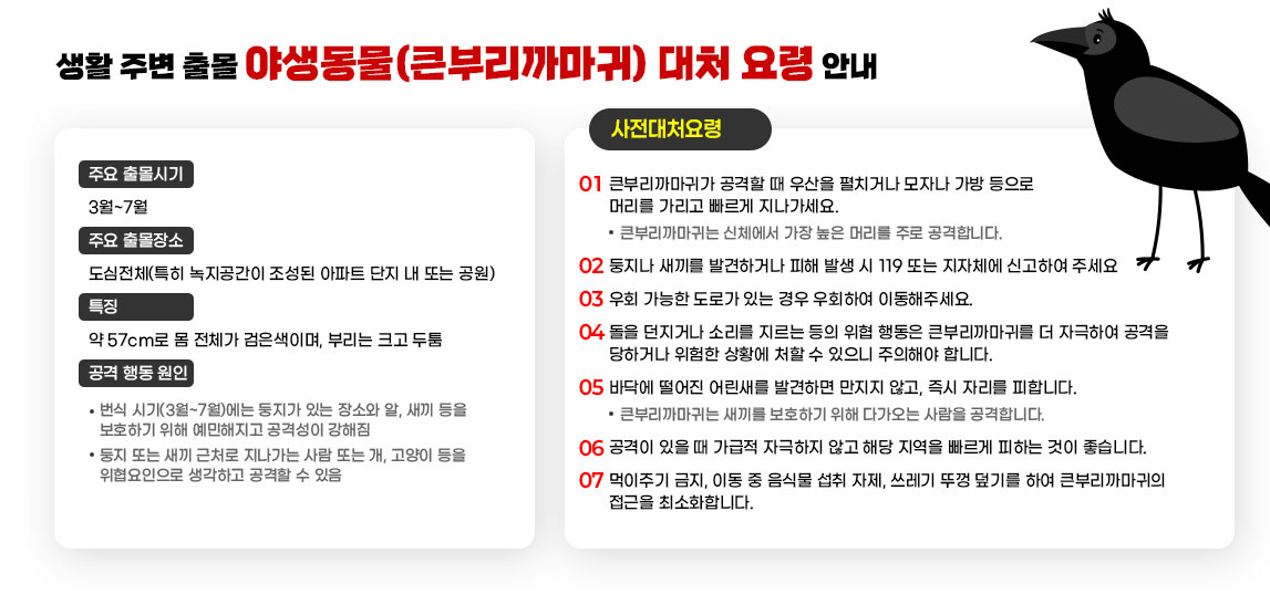월~7월 불청객 큰부리까마귀 이렇게 대처하세요 
□ 주요 출몰시기: 3월~7월 
□ 주요 출몰장소: 도심전체(특히 녹지공간이 조성된 아파트 단지 내 또는 공원) 
□ 특징 
  ○ 형태: 약 57cm로 몸 전체가 검은색이며, 부리는 크고 두툼 
□ 공격 행동 원인 
  ○ 번식 시기(3월~7월)에는 둥지가 있는 장소와 알, 새끼 등을 보호하기 위해 예민해지고 공격성이 강해짐 
  ○ 둥지 또는 새끼 근처로 지나가는 사람 또는 개, 고양이 등을 위협요인으로 생각하고 공격할 수 있음 
□ 사전대처요령 
  ○ 큰부리까마귀가 공격할 때 우산을 펼치거나 모자나 가방 등으로 머리를 가리고 빠르게 지나가세요. 
    - 큰부리까마귀는 신체에서 가장 높은 머리를 주로 공격합니다. 
  ○ 둥지나 새끼를 발견하거나 피해 발생 시 119 또는 지자체에 신고하여 주세요 
  ○ 우회 가능한 도로가 있는 경우 우회하여 이동해주세요. 
  ○ 돌을 던지거나 소리를 지르는 등의 위협 행동은 큰부리까마귀를 더 자극하여 공격을 당하거나 위험한 상황에 처할 수 있으니 주의해야 합니다. 
  ○ 바닥에 떨어진 어린새를 발견하면 만지지 않고, 즉시 자리를 피합니다. 
    - 큰부리까마귀는 새끼를 보호하기 위해 다가오는 사람을 공격합니다. 
  ○ 공격이 있을 때 가급적 자극하지 않고 해당 지역을 빠르게 피하는 것이 좋습니다. 
  ○ 먹이주기 금지, 이동 중 음식물 섭취 자제, 쓰레기 뚜껑 덮기를 하여 큰부리까마귀의 접근을 최소화합니다.
