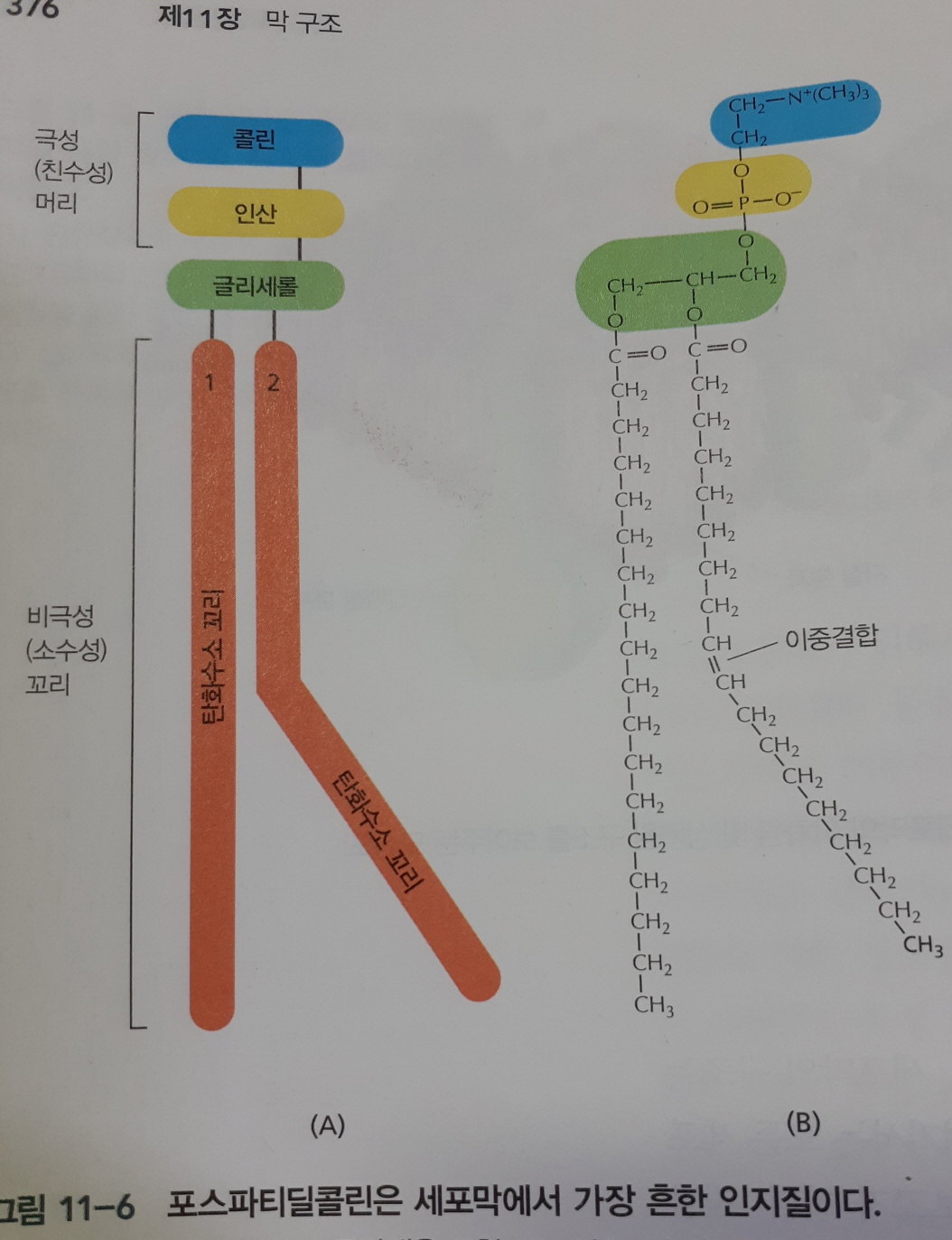 안녕들하세요