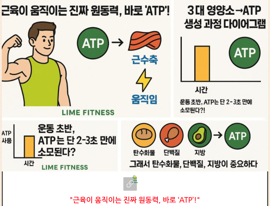내 몸과 소통