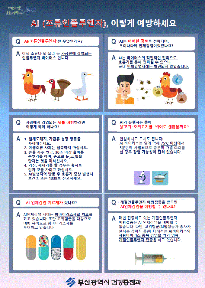 AI(조류인플루엔자) 이렇게 예방하세요