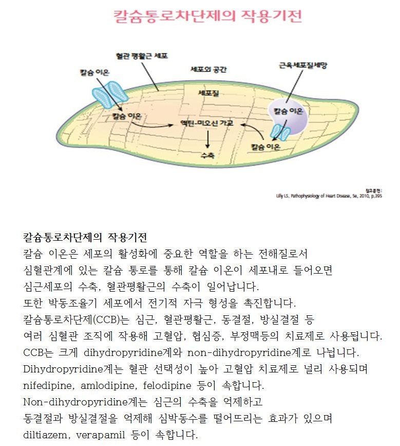 레드서클 정보 톡톡(Talk, Talk) - 고혈압 약물치료(이뇨제 작용기전)