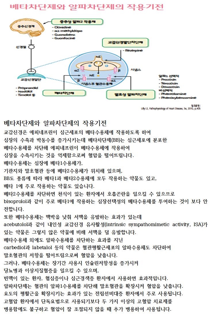 레드서클 정보 톡톡(Talk, Talk) - 고혈압 약물치료(베타, 알파차단제 작용기전)