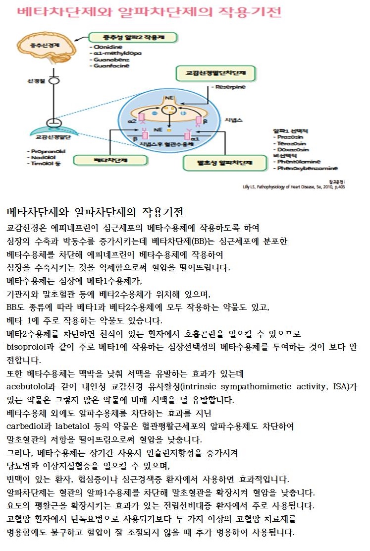 레드서클 정보 톡톡(Talk, Talk) - 고혈압 약물치료(베타, 알파차단제 작용기전)