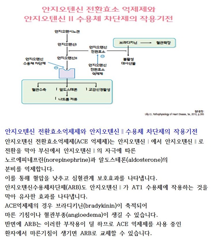 레드서클 정보 톡톡(Talk, Talk) - 고혈압 약물치료(안지오텐신전환효소억제제 작용기전)