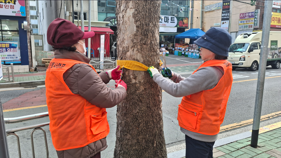 화명2동 자원봉사캠프 ,  ‘가로수 뜨개옷 제거 봉사’ 진행