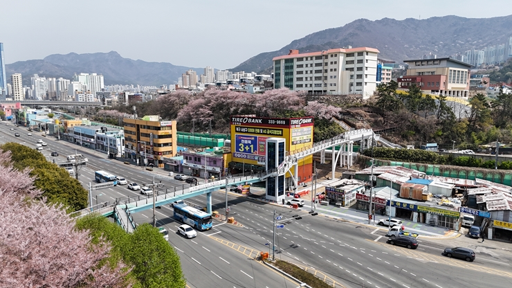 오태원 북구청장, 리버워크에 이어 야시고개와 낙동강 갈맷길을 잇는 보행전용교량 개통