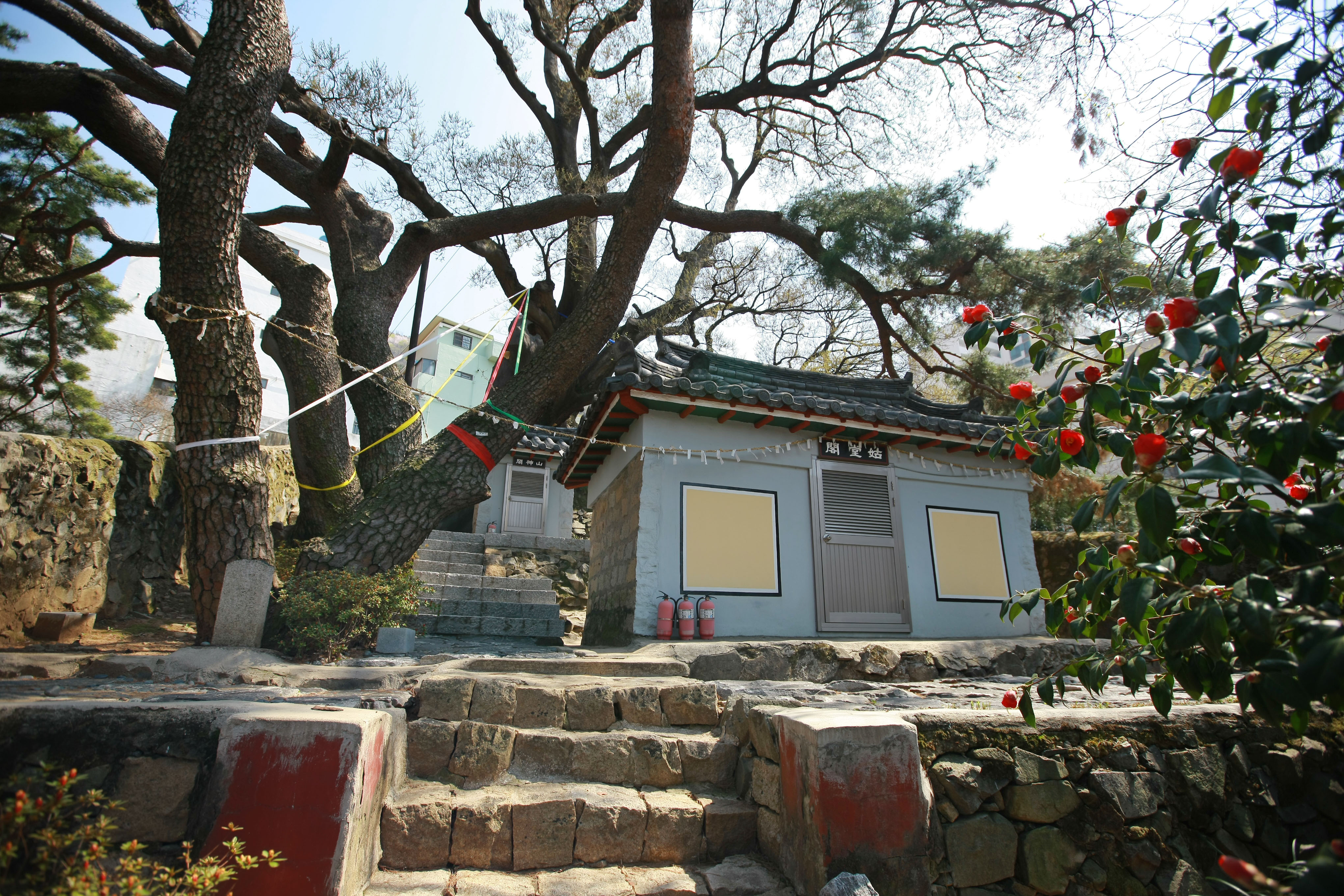 부산 구포동 당숲