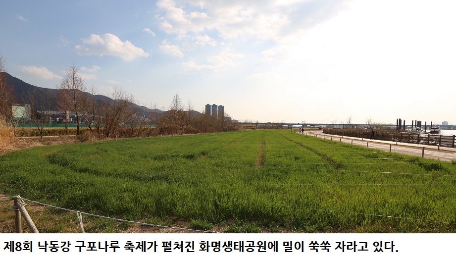 제8회 낙동강 구포나루 축제 5월 17~19일 개최(들어가기)