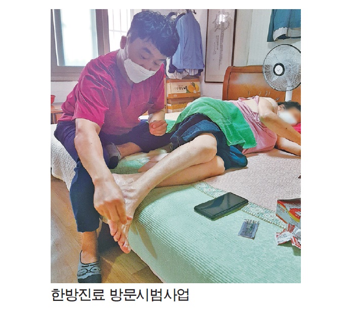 한방진료 방문시범 사업 본격 추진