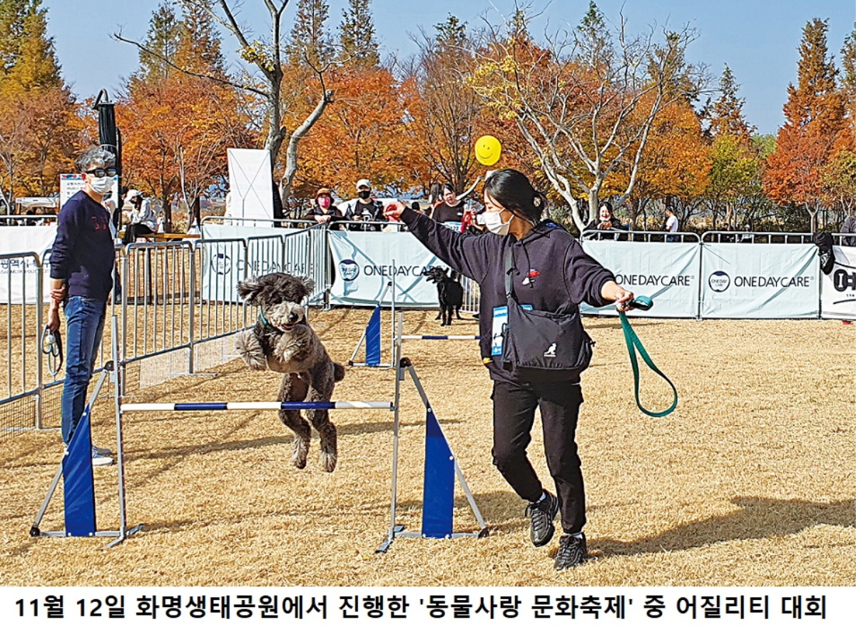 “함께라서 행복해요” 제3회 북구 동물사랑 문화축제 개최