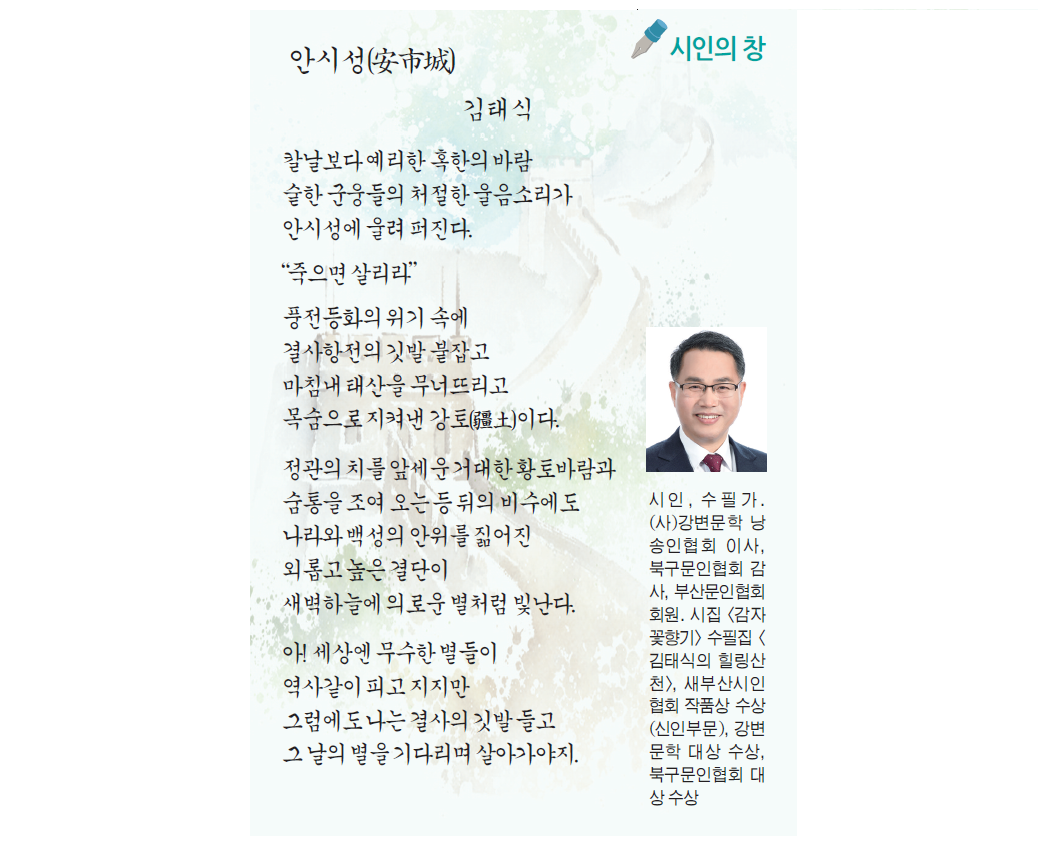 [시인의 창] 김태식 시인 안시성(安市城)