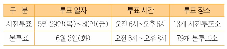6월 3일, 제21대 대통령선거 실시