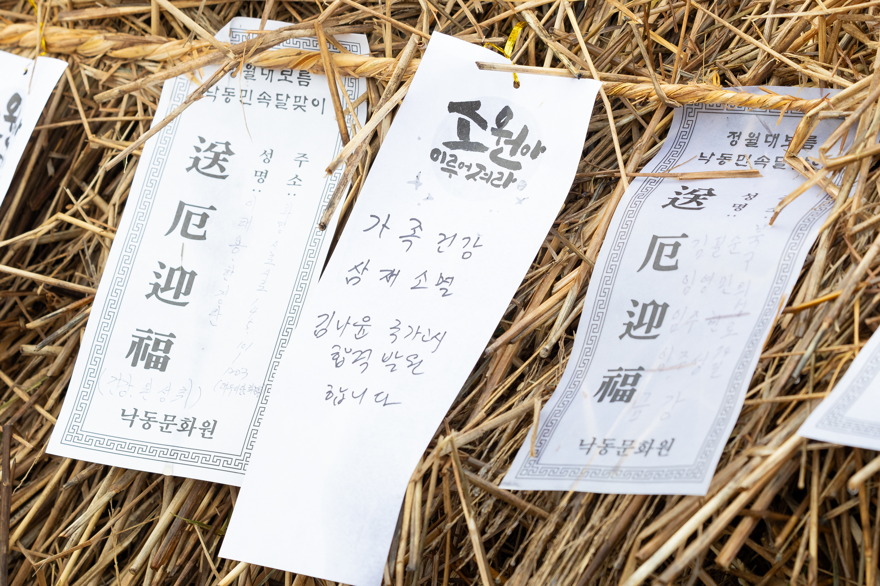 병오년 정월대보름 달맞이 행사 개최