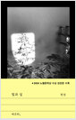 빛과 실 