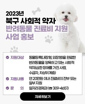 2023년 북구 사회적 약자 반려동물 진료비 지원 사업 홍보
○ 지원대상 : 동물등록(내장형, 외장형)을 완료한 반려동물을 양육하고 있는 사회적 약자(심한 장애를 가진 사람, 수급자, 차상위계층)
 ○ 지원내용 : 연 20만원 이내 진료비의 전부 또는 일부 지원 진료 후 구비서류를 지참하여 북구청 일자리경제과 동물친화팀에 보조금 신청
 ○ 문    의 : 일자리경제과 (☎ 309-4651)
자세히보기