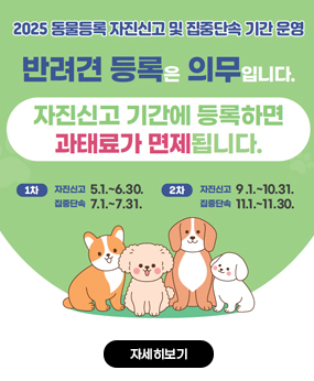 2025년 동물등록 자진신고 및 집중단속 기간 운영