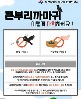 ★ 돌 던지지 않기 
 ★ 어린새 만지지 말기 
□ 대처요령 
 ○ 돌을 던지거나 소리를 지르는 등의 위협 행동은 큰부리까마귀를 더 자극하여 공격을 당하거나 위험한 상황에 처할 수 잇으니 주의해야 합니다. 
 ○ 바닥에 떨어진 어린새를 발견하면 만지자 않고, 즉시 자리를 피합니다. ＊큰부리까마귀는 새끼를 보호하기 위해 다가오는 사람을 공격합니다. 
 ○ 공격이 있을 때 가급적 자극하지 않고 해당 지역을 빠르게 피하는 것이 좋습니다. 
 ○ 먹이주기 금지, 이동 중 음식물 섭취 자제, 쓰레기 뚜껑 덮기를 하여 큰부리까마귀의 접근을 최소화합니다.